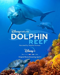 watch Dolphin Reef Movie online free in hd on MovieMP4