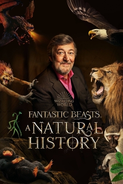 watch Fantastic Beasts: A Natural History Movie online free in hd on MovieMP4