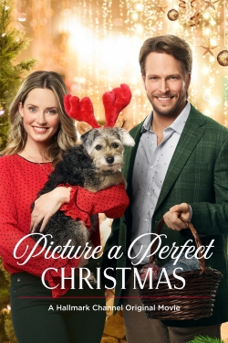 watch Picture a Perfect Christmas Movie online free in hd on MovieMP4