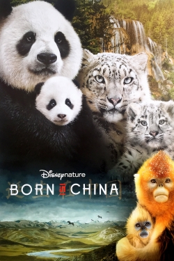watch Born in China Movie online free in hd on MovieMP4