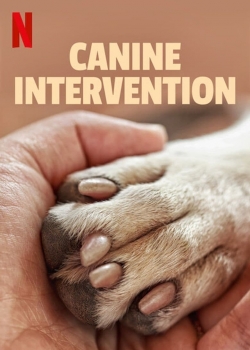 watch Canine Intervention Movie online free in hd on MovieMP4
