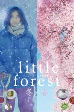 watch Little Forest: Winter/Spring Movie online free in hd on MovieMP4