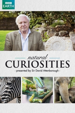 watch David Attenborough's Natural Curiosities Movie online free in hd on MovieMP4
