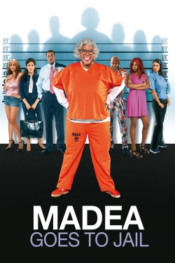 watch Madea Goes to Jail Movie online free in hd on MovieMP4