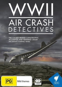 watch WWII Air Crash Detectives Movie online free in hd on MovieMP4