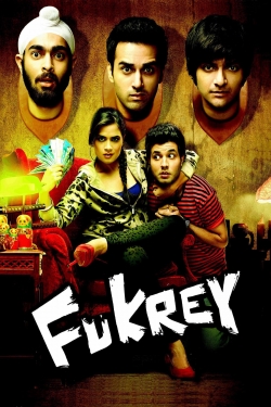 watch Fukrey Movie online free in hd on MovieMP4