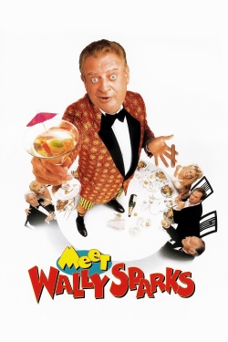 watch Meet Wally Sparks Movie online free in hd on MovieMP4
