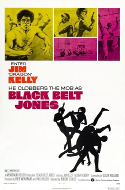 watch Black Belt Jones Movie online free in hd on MovieMP4