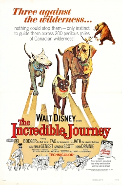 watch The Incredible Journey Movie online free in hd on MovieMP4