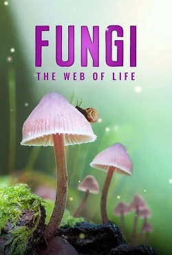 watch Fungi: The Web of Life Movie online free in hd on MovieMP4