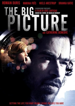 watch The Big Picture Movie online free in hd on MovieMP4