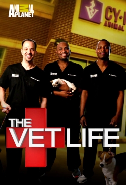 watch The Vet Life Movie online free in hd on MovieMP4