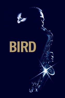 watch Bird Movie online free in hd on MovieMP4