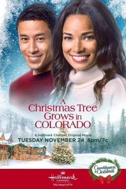 watch A Christmas Tree Grows in Colorado Movie online free in hd on MovieMP4