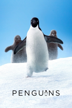 watch Penguins Movie online free in hd on MovieMP4