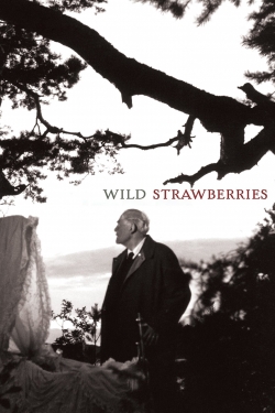 watch Wild Strawberries Movie online free in hd on MovieMP4