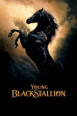 watch Young Black Stallion Movie online free in hd on MovieMP4