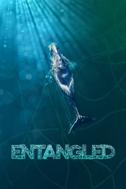 watch Entangled: The Race to Save Right Whales from Extinction Movie online free in hd on MovieMP4