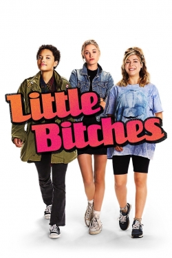 watch Little Bitches Movie online free in hd on MovieMP4