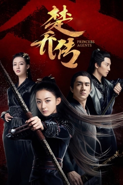 watch Princess Agents Movie online free in hd on MovieMP4