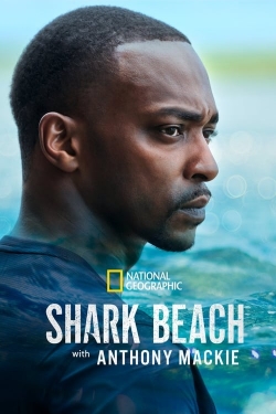watch Shark Beach with Anthony Mackie Movie online free in hd on MovieMP4