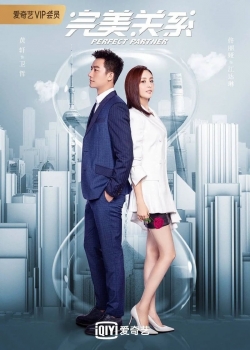 watch Perfect Partner Movie online free in hd on MovieMP4