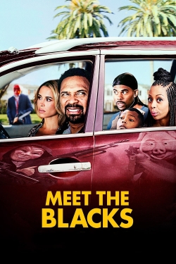 watch Meet the Blacks Movie online free in hd on MovieMP4