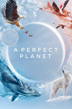 watch A Perfect Planet Movie online free in hd on MovieMP4