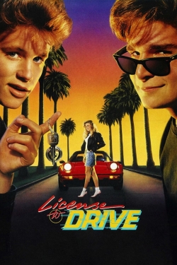watch License to Drive Movie online free in hd on MovieMP4