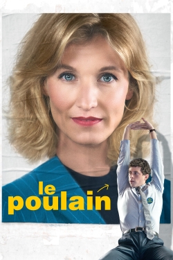 watch Le Poulain Movie online free in hd on MovieMP4