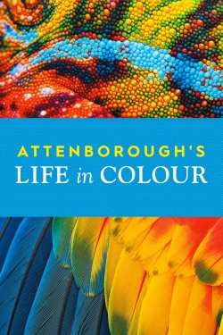 watch Attenborough's Life in Colour Movie online free in hd on MovieMP4