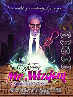 watch The Mysterious Mr. Wizdom Movie online free in hd on MovieMP4