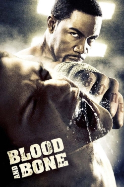 watch Blood and Bone Movie online free in hd on MovieMP4