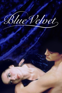watch Blue Velvet Movie online free in hd on MovieMP4