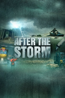 watch After the Storm Movie online free in hd on MovieMP4