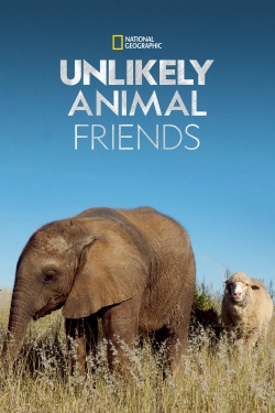 watch Unlikely Animal Friends Movie online free in hd on MovieMP4