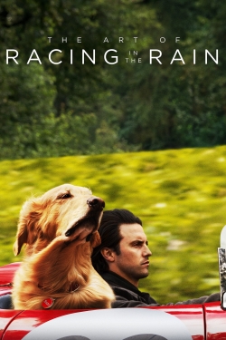 watch The Art of Racing in the Rain Movie online free in hd on MovieMP4