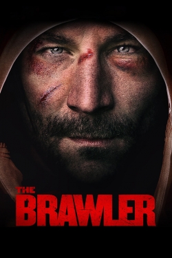 watch The Brawler Movie online free in hd on MovieMP4