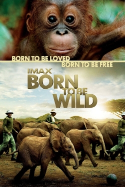 watch Born to Be Wild Movie online free in hd on MovieMP4