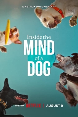 watch Inside the Mind of a Dog Movie online free in hd on MovieMP4