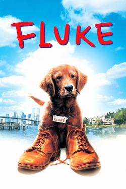 watch Fluke Movie online free in hd on MovieMP4
