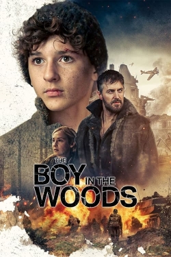 watch The Boy in the Woods Movie online free in hd on MovieMP4