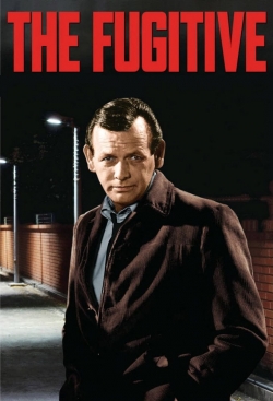 watch The Fugitive Movie online free in hd on MovieMP4