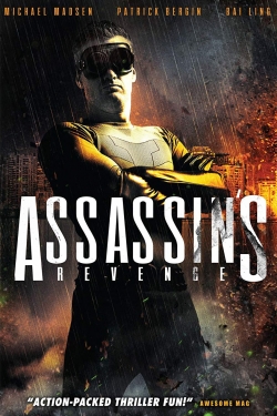 watch Assassins Revenge Movie online free in hd on MovieMP4