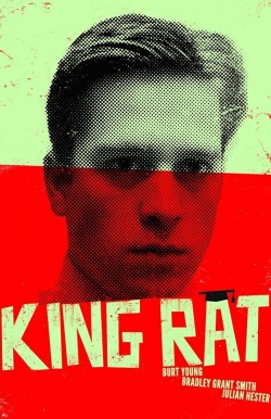 watch King Rat Movie online free in hd on MovieMP4