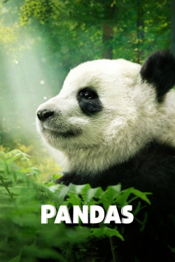 watch Pandas Movie online free in hd on MovieMP4