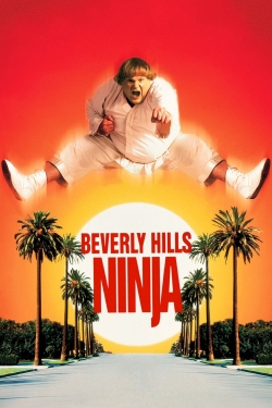watch Beverly Hills Ninja Movie online free in hd on MovieMP4