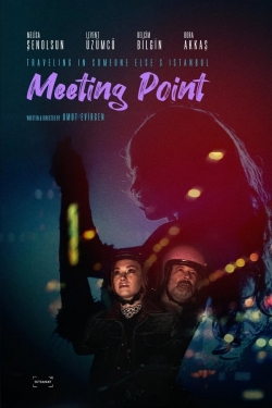 watch Meeting Point Movie online free in hd on MovieMP4