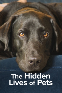 watch The Hidden Lives of Pets Movie online free in hd on MovieMP4