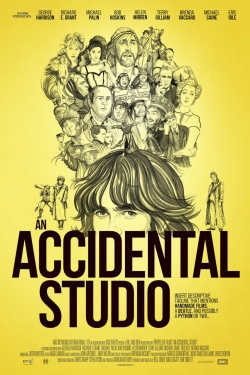 watch An Accidental Studio Movie online free in hd on MovieMP4